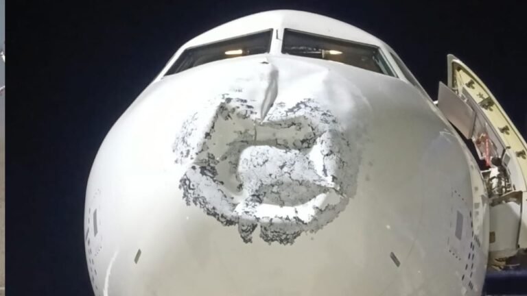 IndiGo Emergency Landing